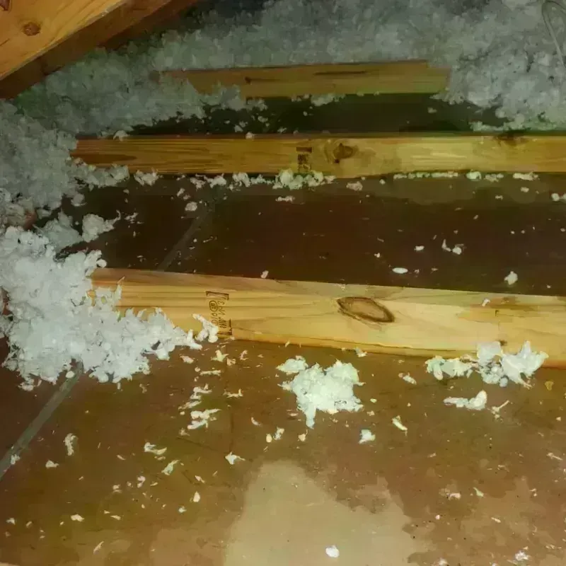 Attic Water Damage in Glendale, WI