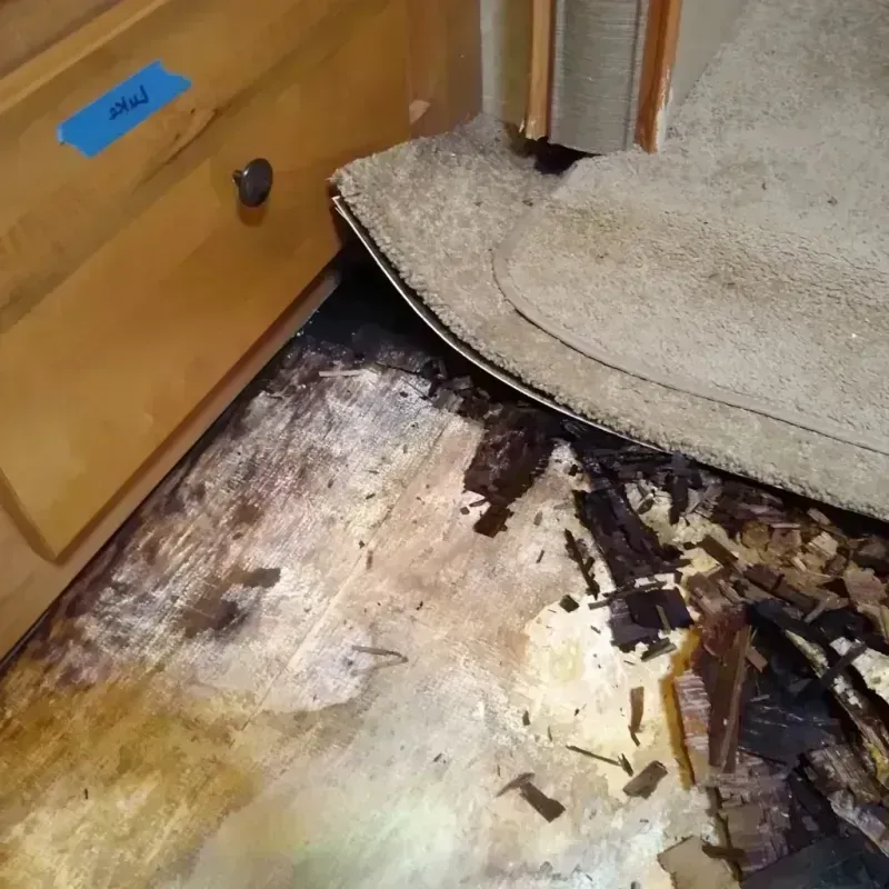 Wood Floor Water Damage in Glendale, WI